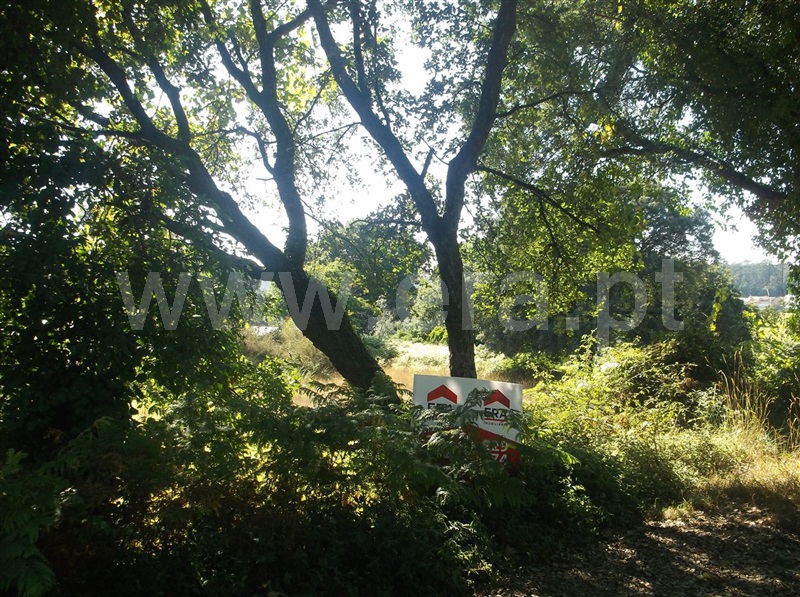 Terreno  Maia, Folgosa - 670494 - 4