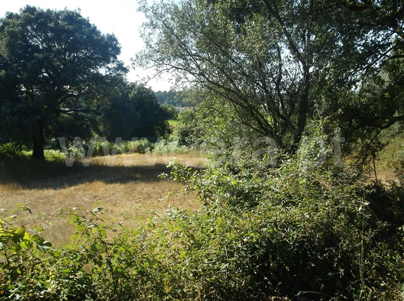 Terreno  Maia, Folgosa - 670494 - 5