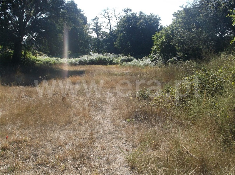 Terreno  Maia, Folgosa - 670494 - 6