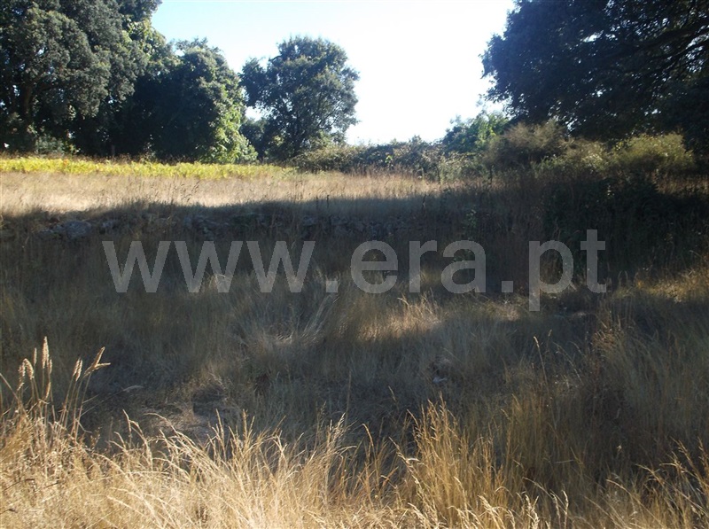 Terreno  Maia, Folgosa - 670494 - 7