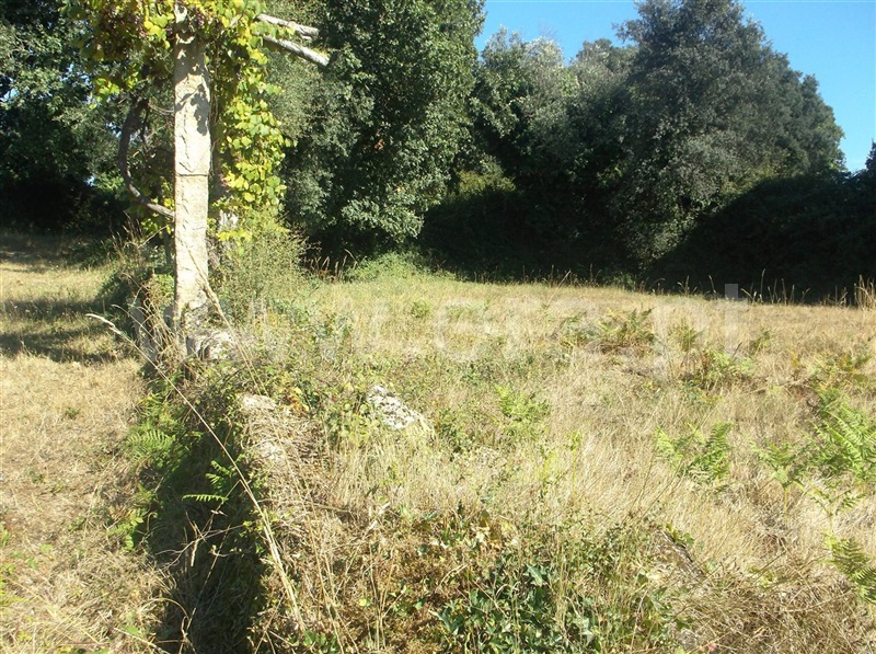 Terreno  Maia, Folgosa - 670494 - 9