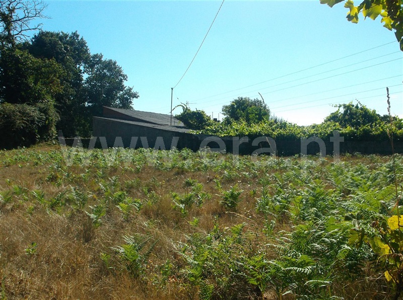 Terreno  Maia, Folgosa - 670494 - 10