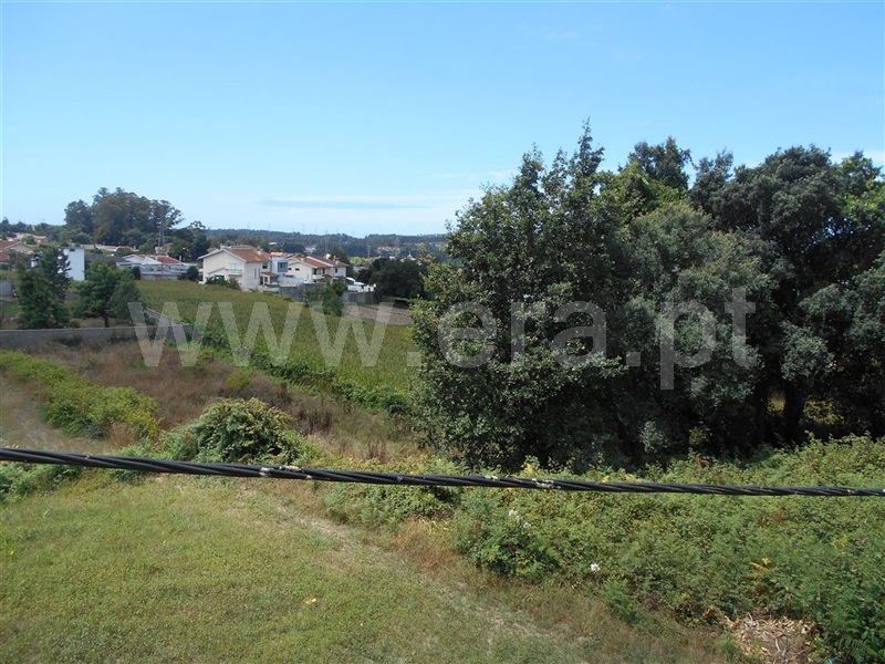 Terreno  Maia, Folgosa - 670494 - 13