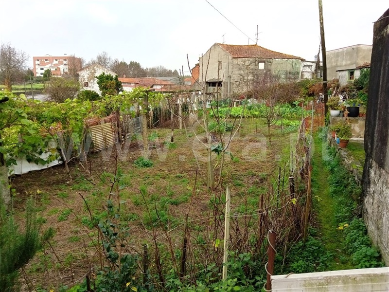 Terreno / Maia, Hospital S. João