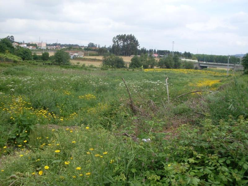 Terreno / Maia, MaiaShopping