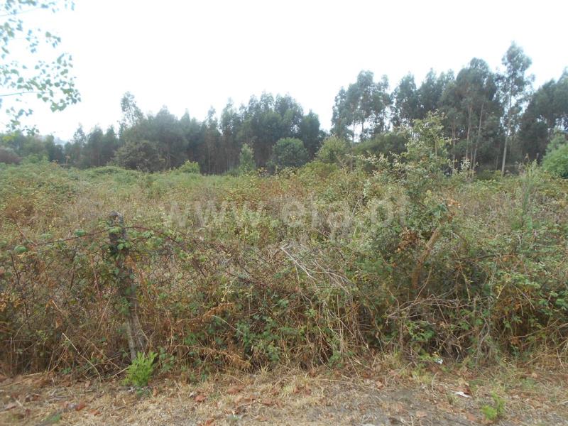 Terreno  Maia, Milheirós - 756281 - 2