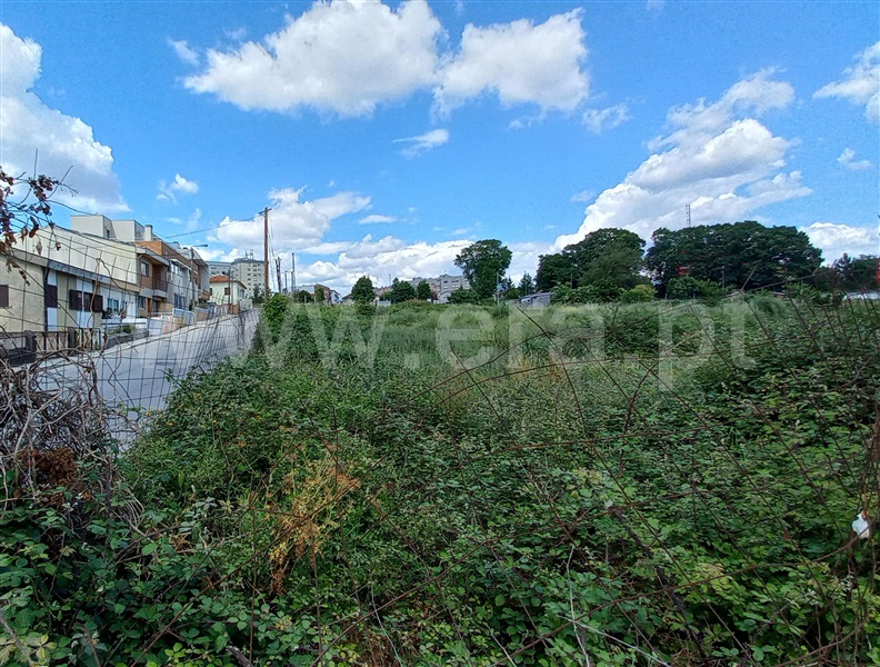Terreno / Maia, Palmilheira