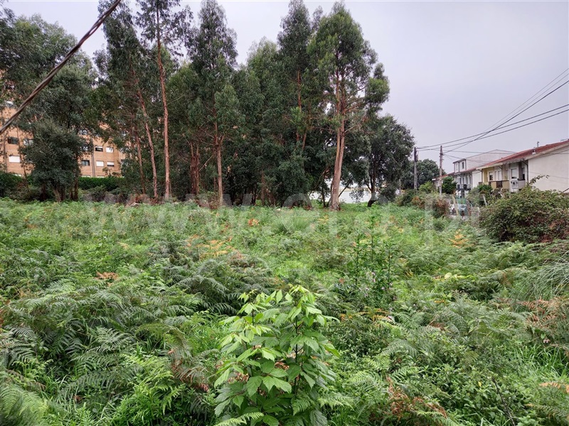 Terreno  Maia, Pedrouços - 1124932 - 2