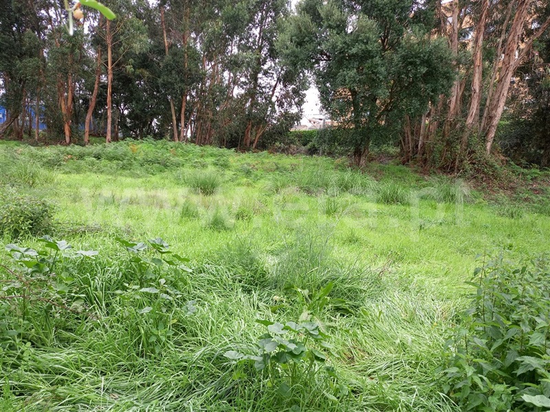 Terreno  Maia, Pedrouços - 1124932 - 5