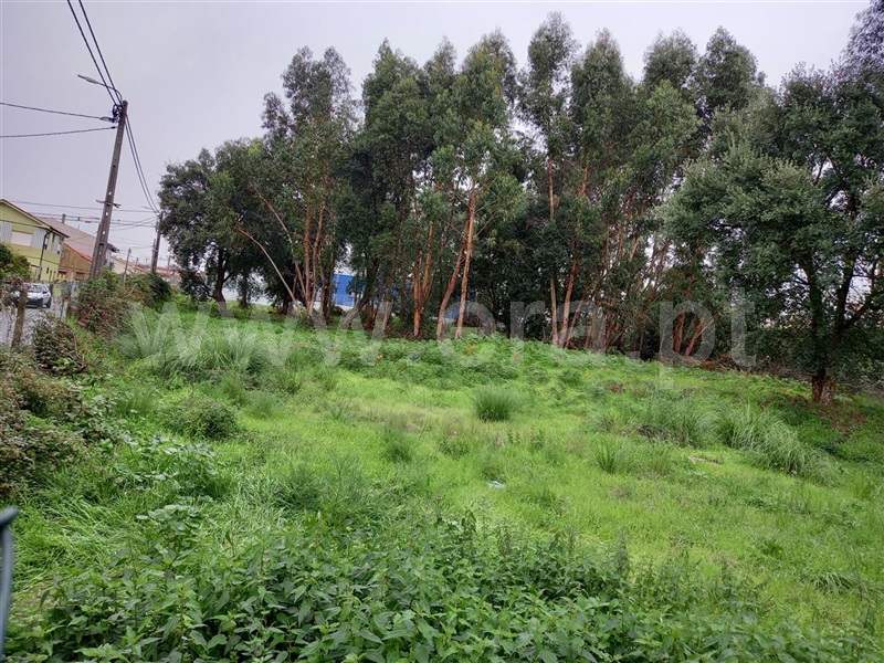 Terreno  Maia, Pedrouços - 1124932 - 6