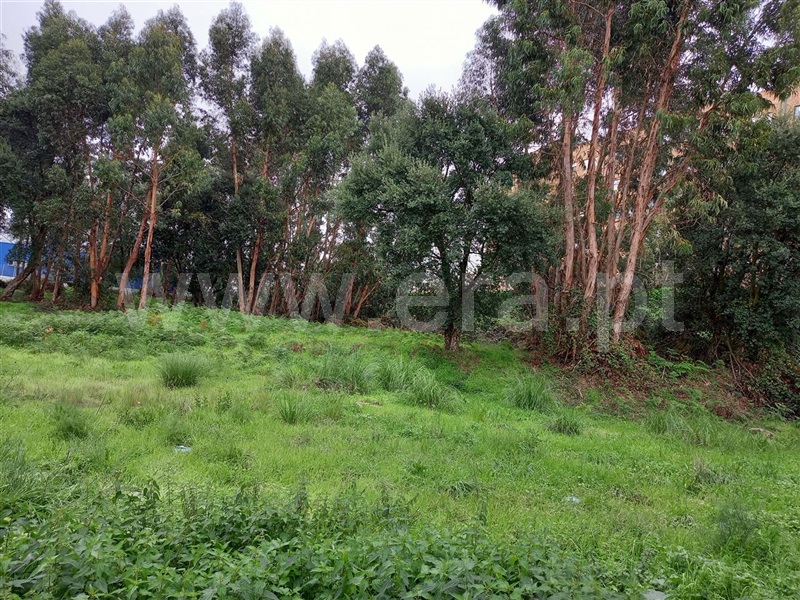 Terreno  Maia, Pedrouços - 1124932 - 7
