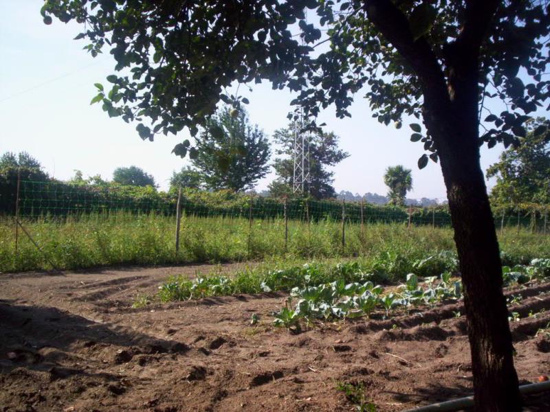 Terreno / Maia, S. Pedro Fins