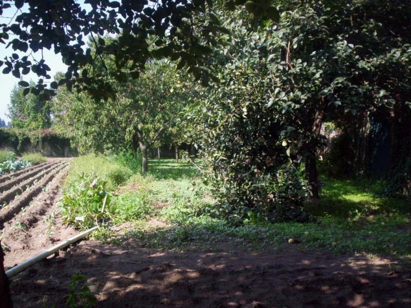 Terreno  Maia, S. Pedro Fins - 16057 - 3