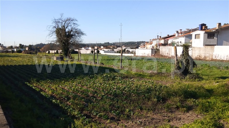Terreno  Maia, São Pedro Fins - 974927 - 4