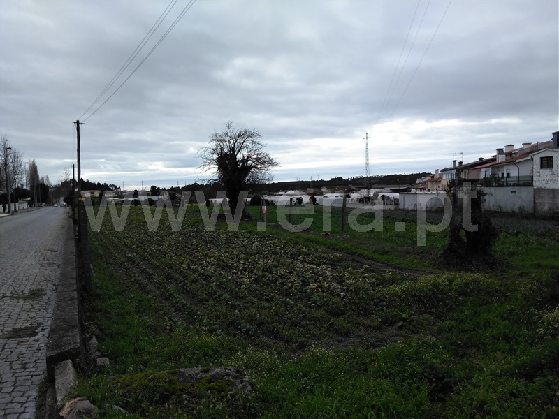 Terreno  Maia, São Pedro Fins - 974927 - 6