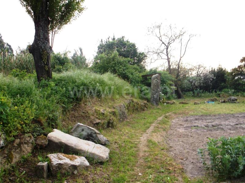 Terreno / Maia