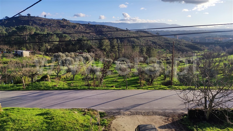 Terreno / Mangualde, Abrunhosa-a-Velha