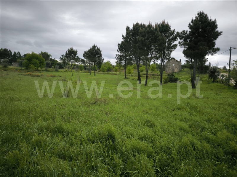 Terreno  Mangualde, Cunha Baixa - 1474343 - 1