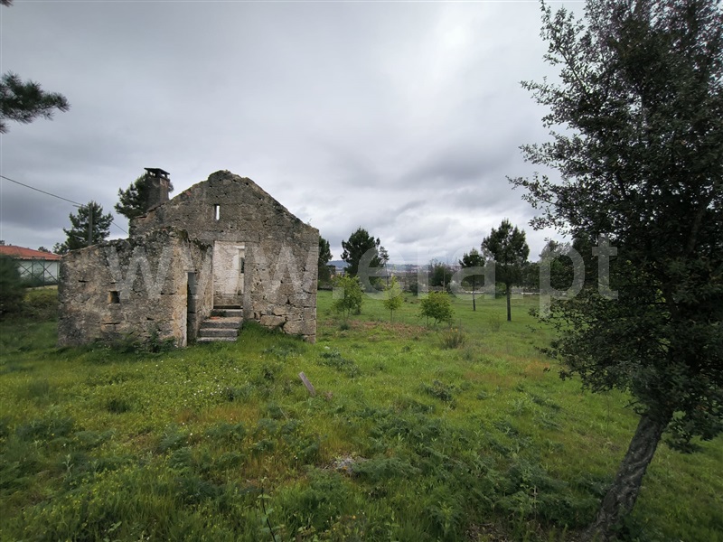 Terreno  Mangualde, Cunha Baixa - 1474343 - 3