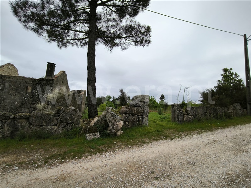 Terreno  Mangualde, Cunha Baixa - 1474343 - 4