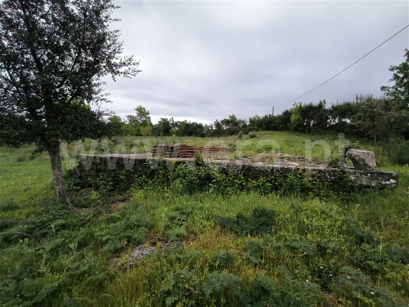 Terreno  Mangualde, Cunha Baixa - 1474343 - 6