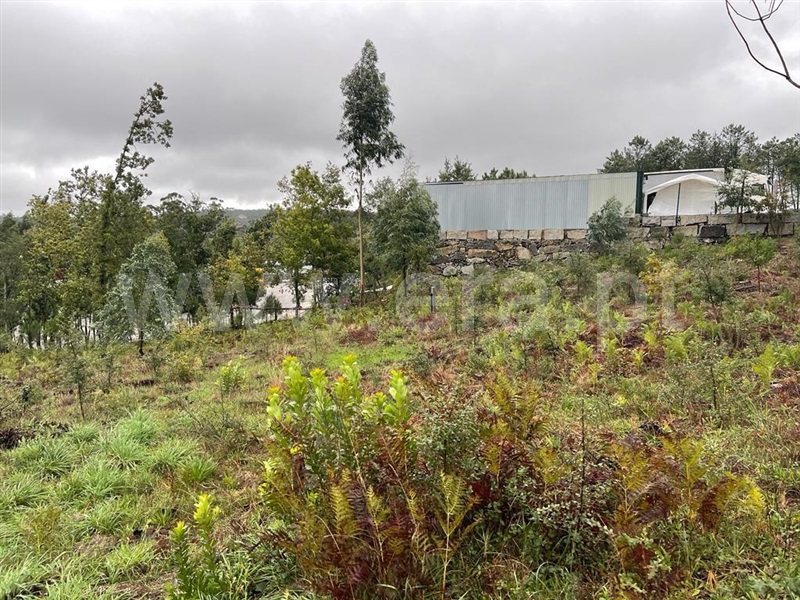 Terreno / Mangualde, Mangualde, Mesquitela e Cunha Alta