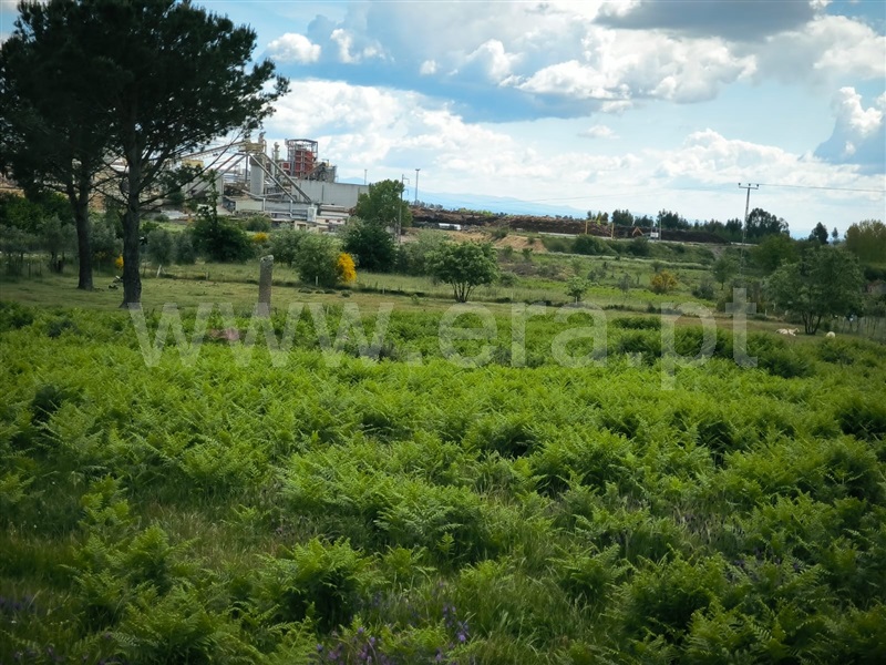 Terreno  Mangualde, Mangualde, Mesquitela e Cunha Alta - 1481506 - 2