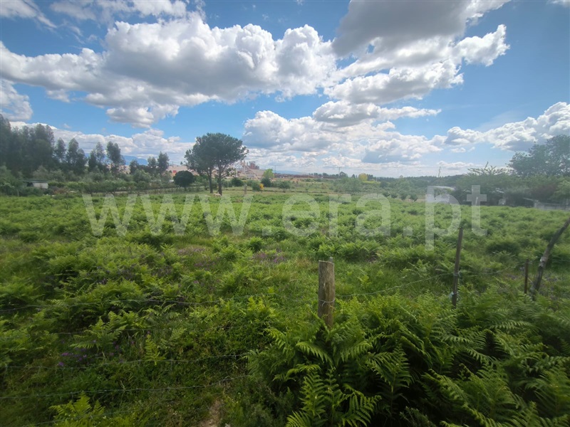 Terreno / Mangualde, Mangualde, Mesquitela e Cunha Alta