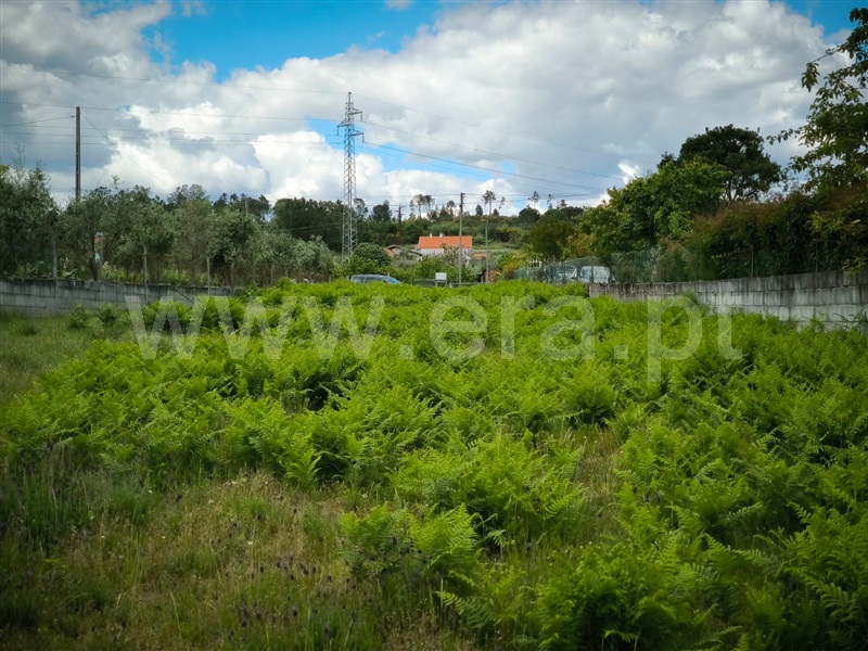 Terreno  Mangualde, Mangualde, Mesquitela e Cunha Alta - 1481506 - 6