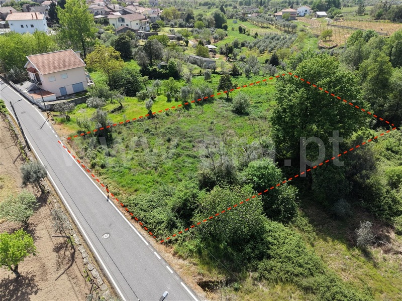 Terreno / Mangualde, Mangualde, Mesquitela e Cunha Alta