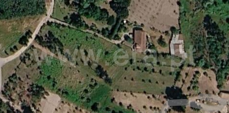Terreno / Mangualde, Mangualde, Mesquitela e Cunha Alta