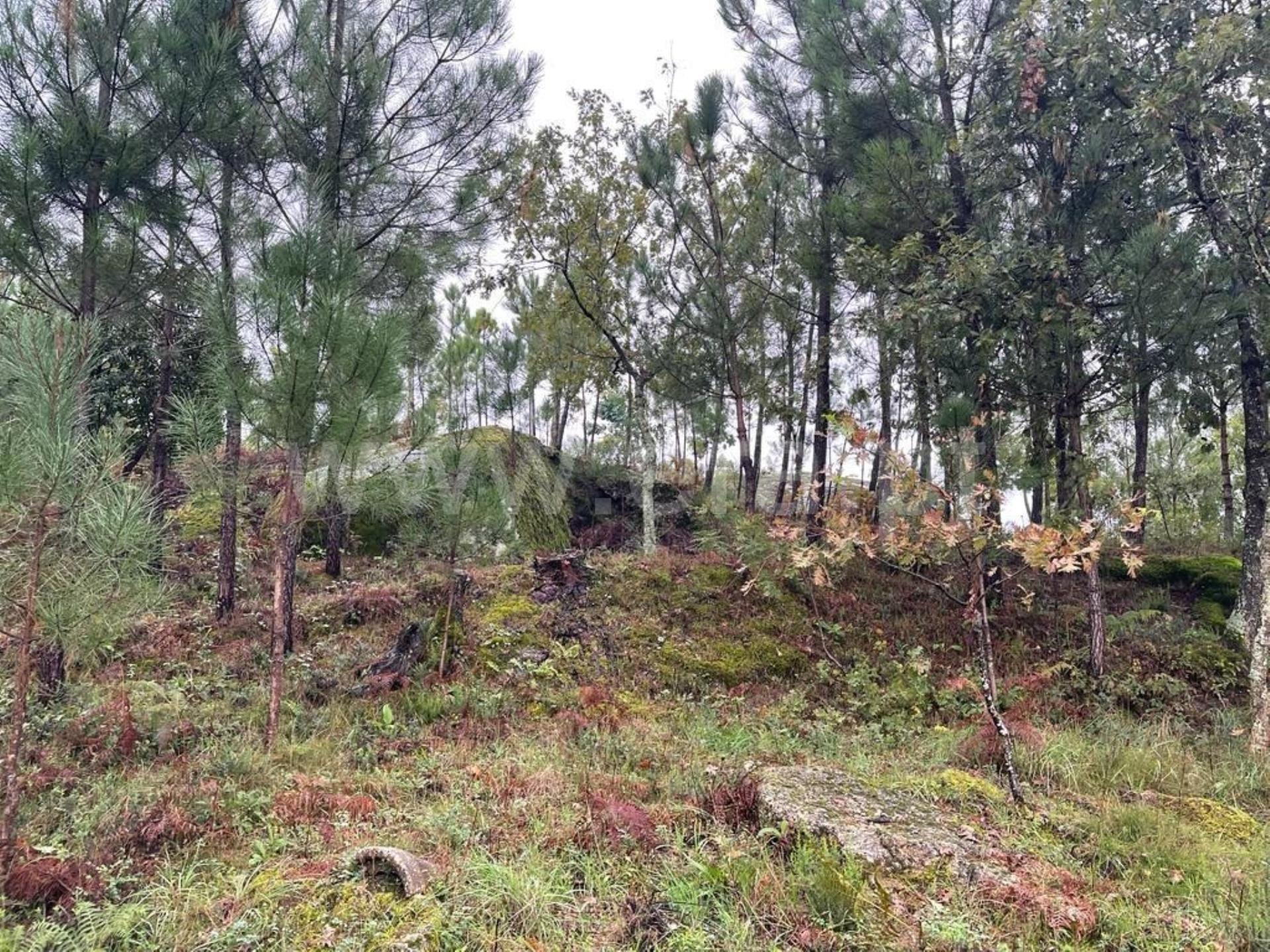 Land for sale in Mangualde, Portugal — €90,000