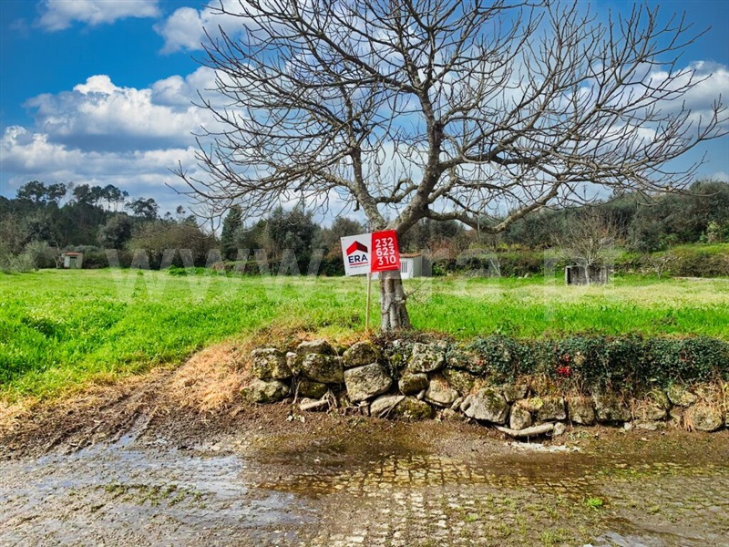Terreno / Mangualde, Santiago de Cassurrães e Póvoa de Cervães