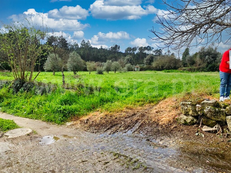 Terreno  Mangualde, Santiago de Cassurrães e Póvoa de Cervães - 1388261 - 2