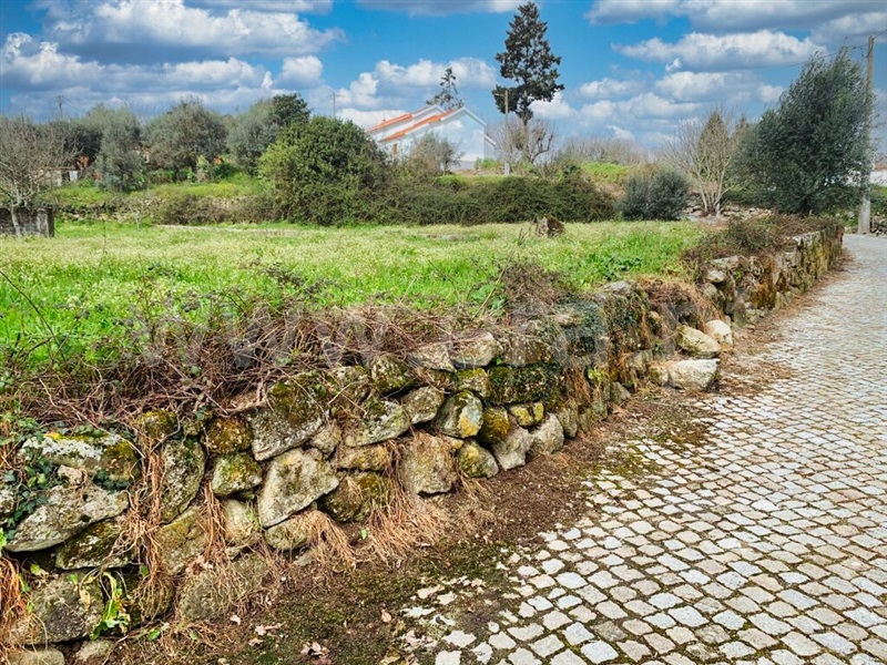 Terreno  Mangualde, Santiago de Cassurrães e Póvoa de Cervães - 1388261 - 3