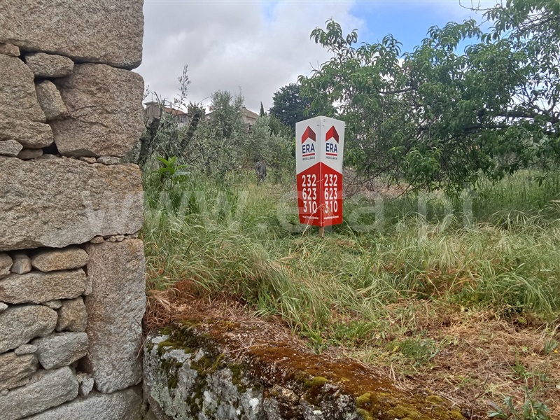 Terreno / Mangualde, Santiago de Cassurrães e Póvoa de Cervães