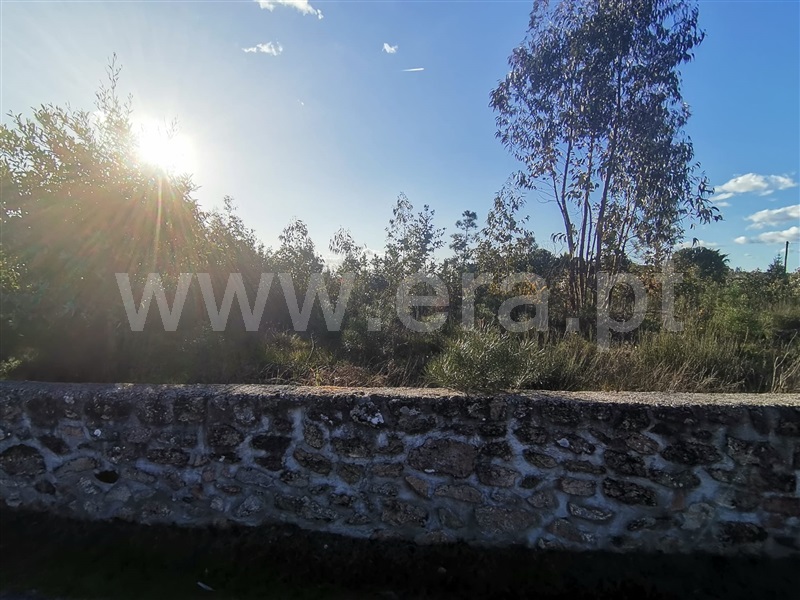 Terreno  Mangualde, Tavares (Chãs, Várzea e Travanca) - 1468553 - 8