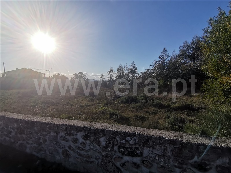 Terreno  Mangualde, Tavares (Chãs, Várzea e Travanca) - 1468553 - 9