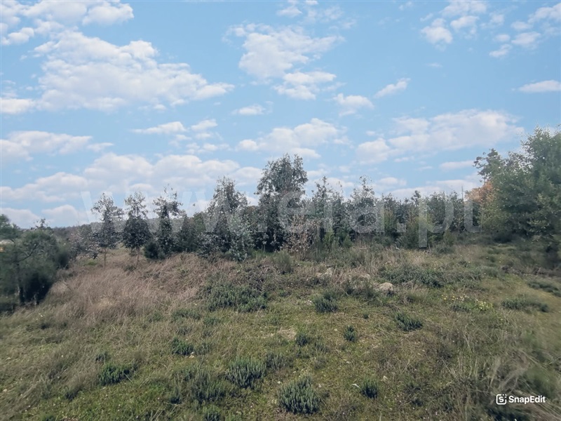 Terreno  Mangualde, Tavares (Chãs, Várzea e Travanca) - 1468553 - 12