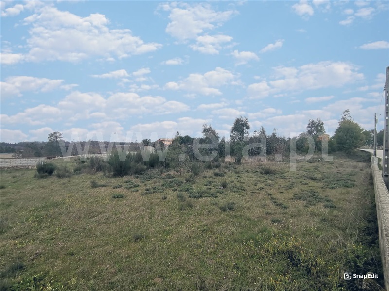 Terreno  Mangualde, Tavares (Chãs, Várzea e Travanca) - 1468553 - 13