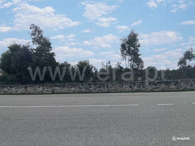 Terreno  Mangualde, Tavares (Chãs, Várzea e Travanca) - 1468553 - 14