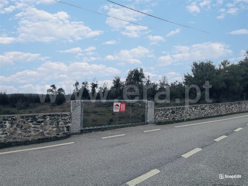 Terreno / Mangualde, Tavares (Chãs, Várzea e Travanca)