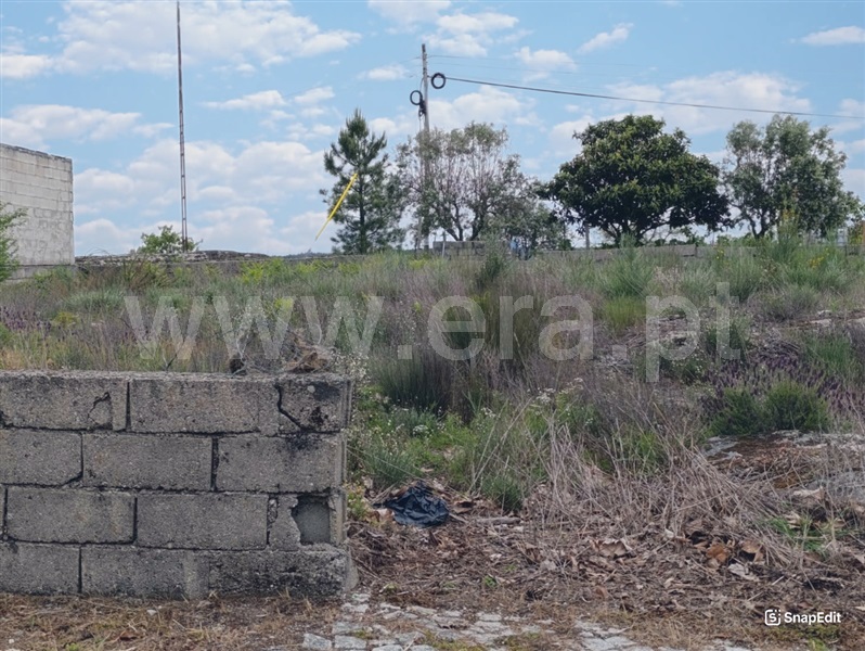 Terreno  Mangualde, Tavares (Chãs, Várzea e Travanca) - 1480891 - 2