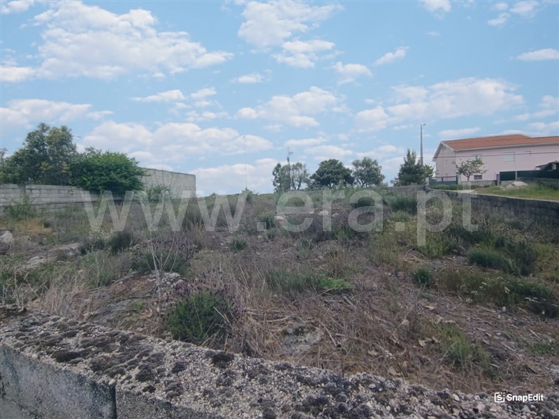 Terreno  Mangualde, Tavares (Chãs, Várzea e Travanca) - 1480891 - 5