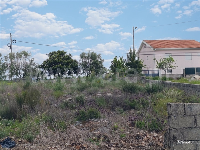 Terreno  Mangualde, Tavares (Chãs, Várzea e Travanca) - 1480891 - 6