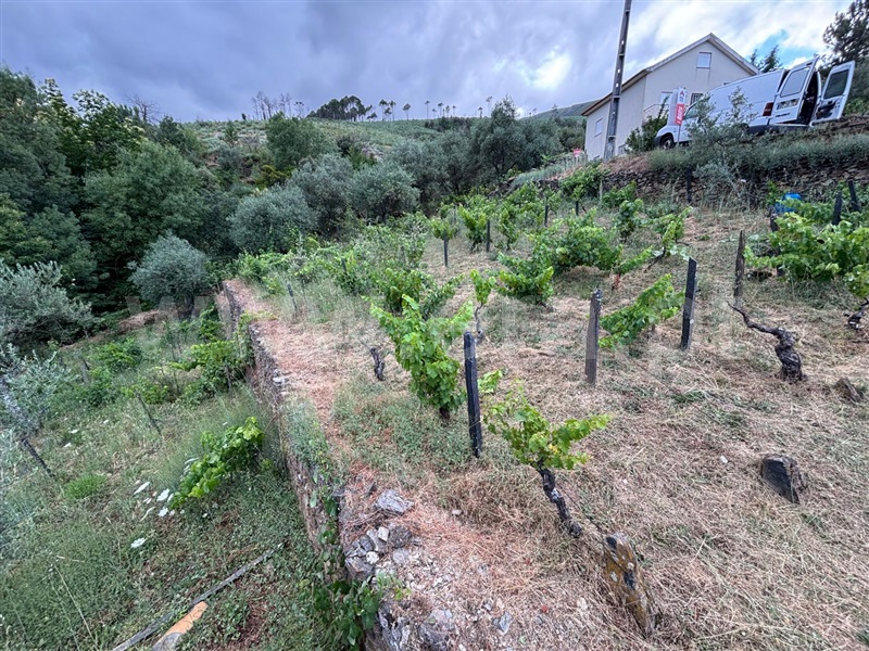 Terreno / Manteigas, Sameiro