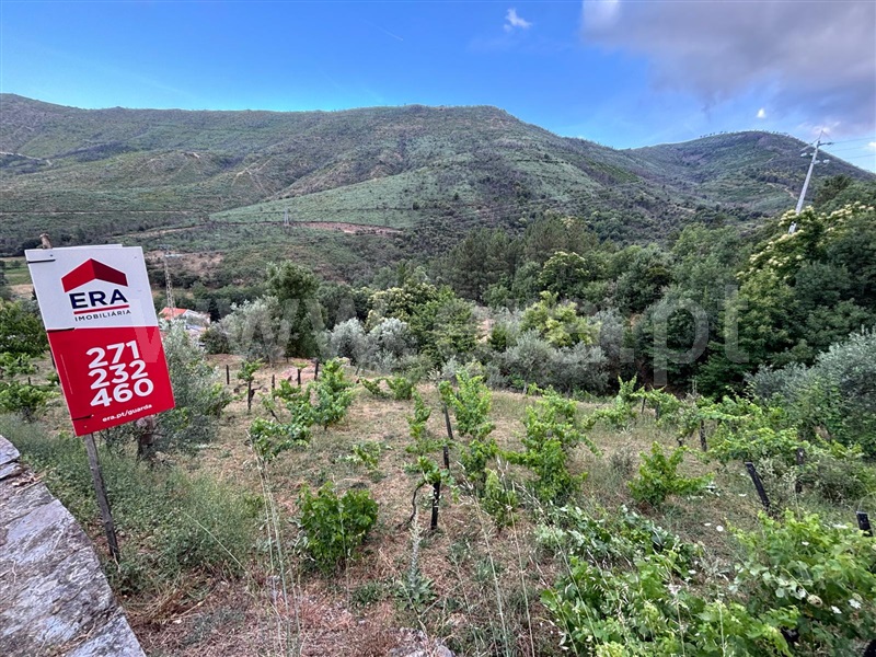 Terreno  Manteigas, Sameiro - 1502935 - 8
