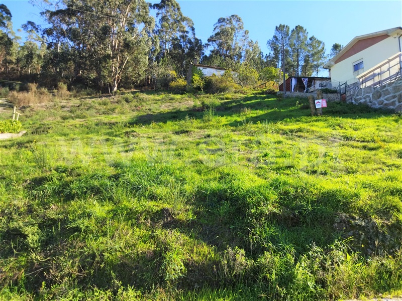Terreno  Marco de Canaveses, Alpendorada, Várzea e Torrão - 1287659 - 6