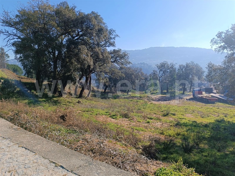 Terreno / Marco de Canaveses, Alpendorada, Várzea e Torrão