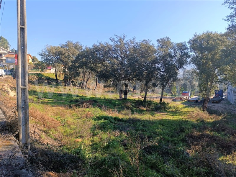 Terreno para Construção  Marco de Canaveses, Alpendorada, Várzea e Torrão - 1304555 - 4
